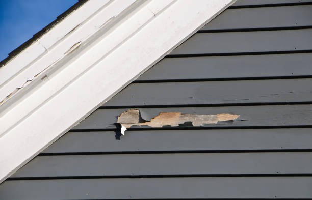 Best Siding Removal and Disposal  in Allentown, NJ