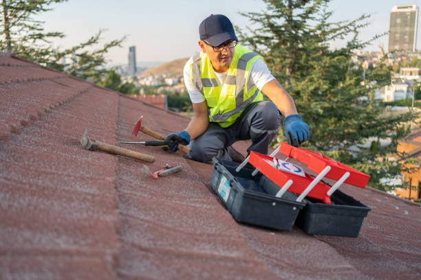 Best Storm Damage Siding Repair  in Allentown, NJ